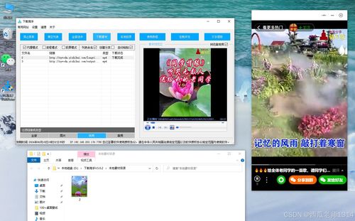 小程序视频下载秘籍 快速掌握下载技巧与优化指南