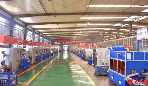 全市唯一 夏津这家企业荣登国家级5g工厂名录