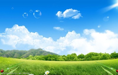 获取高清蓝天白云草地图片的完整指南