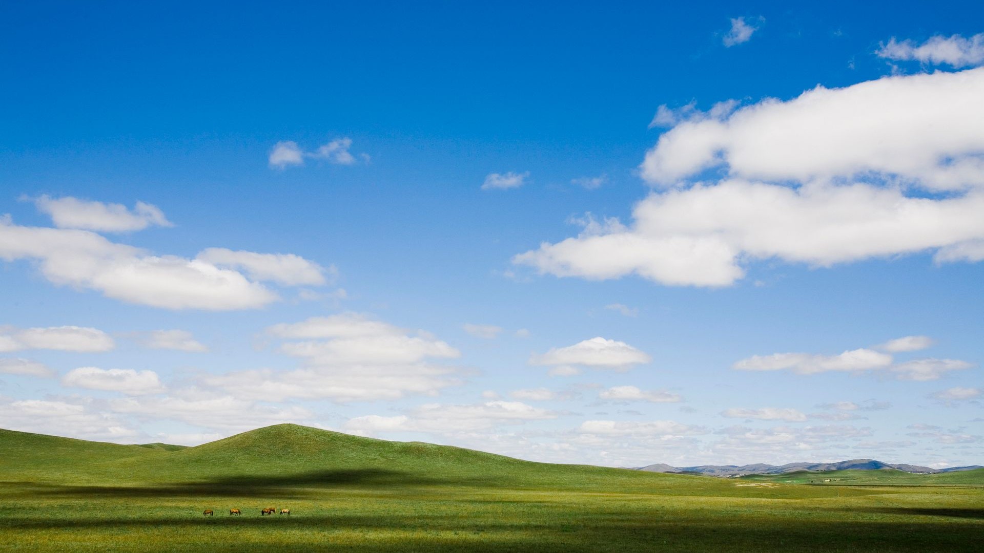 清新绿色护眼蓝天草地桌面壁纸下载 | 第二辑